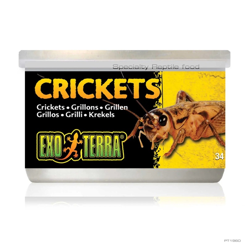 Exo Terra Canned Crickets
