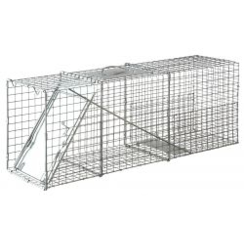 Little Giant Single Door Live Animal Trap 25″
