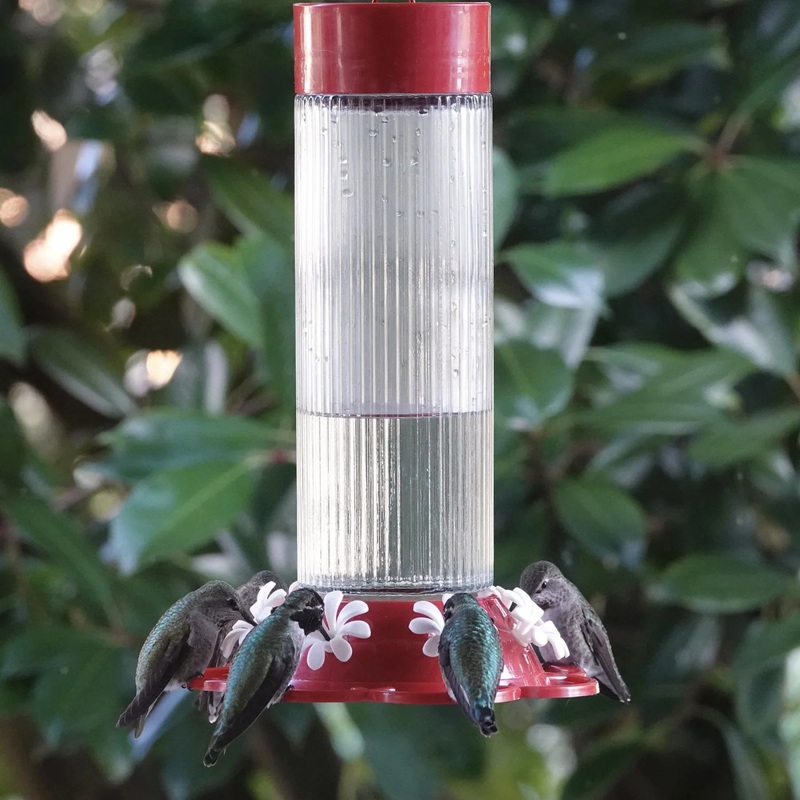 Nature’s Way Bird Products Ribbed Rose Gravity Hummingbird Feeder 28 oz