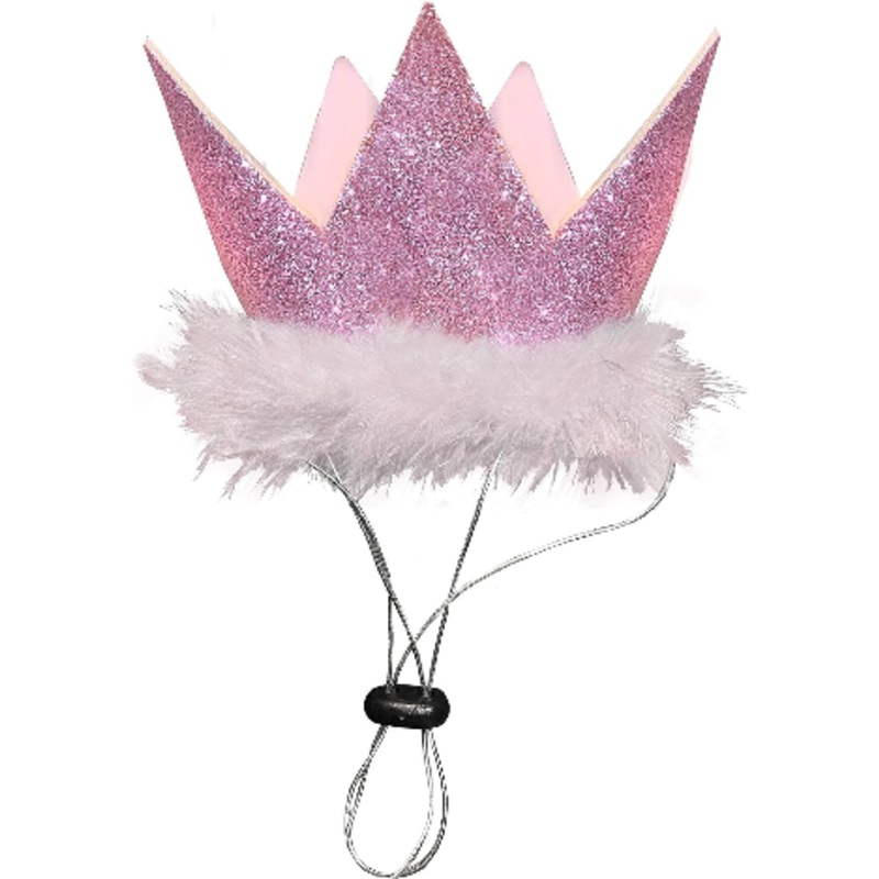 Birthday Crown (Small, Pink) | Huxley & Kent