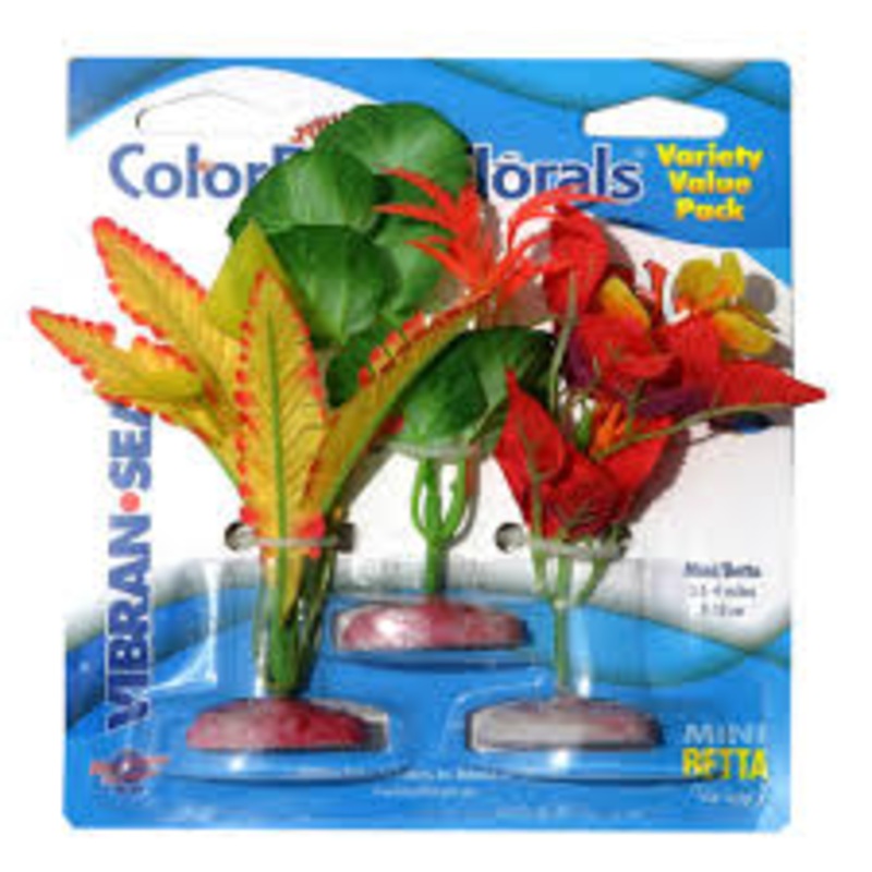 Blue Ribbon Pet Products Colorburst Florals Plant Variety Pack – Large