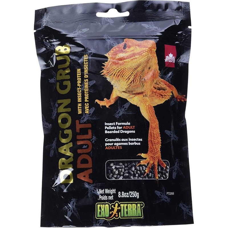 Exo Terra Dragon Grub, Adult 250g, PT3268