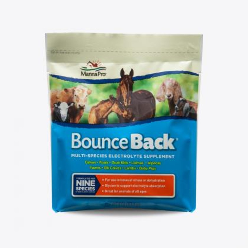 Manna Pro Bounce Back