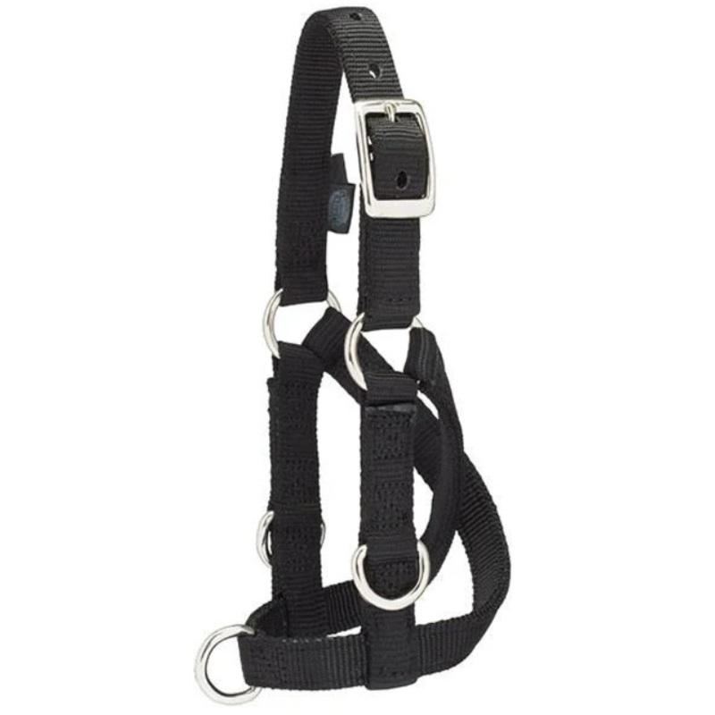 Weaver Leather Sheep & Goat Training Halter Small Black