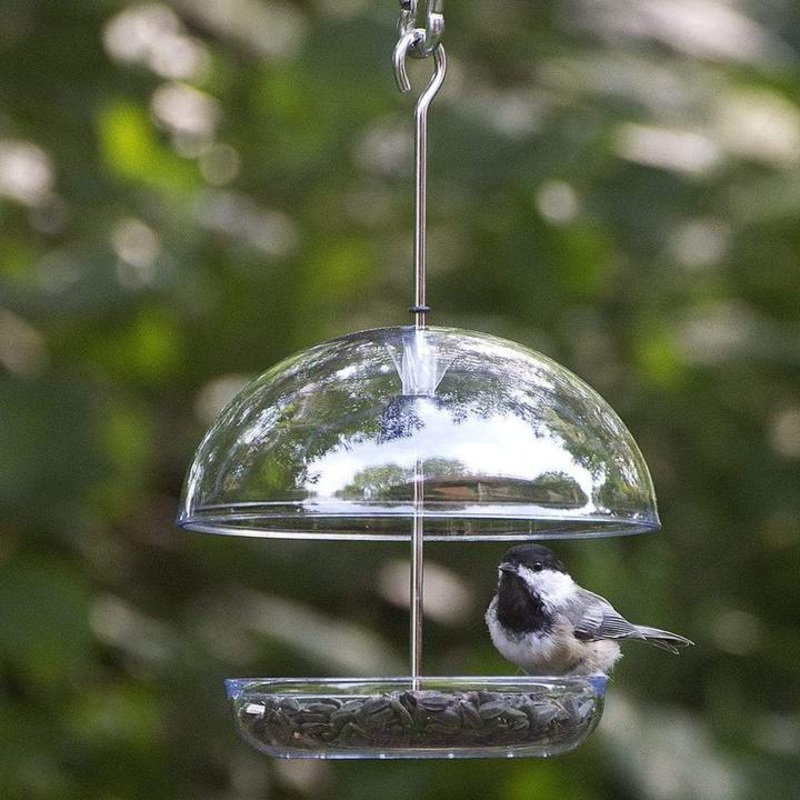 Droll Yankees Cutest Chickadee Bird Feeder with Adjustable Dome, .5 lb. capacity