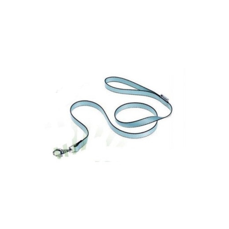 Ferplast Club G Nylon Dog Leash[Color – Light Blue, Dimension – 10mm x L 120cm]