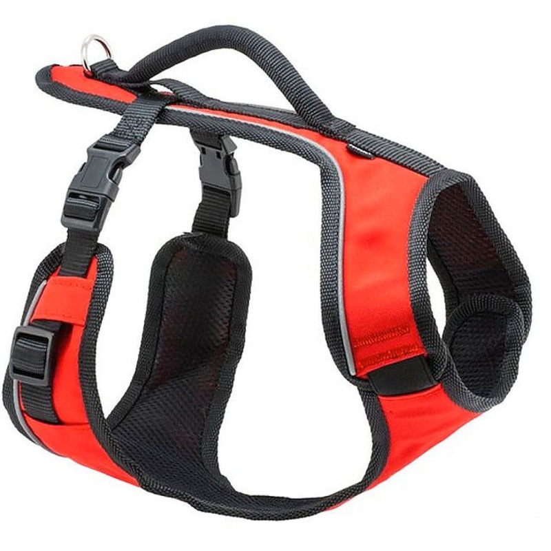 Petsafe EasySport Harness Small, Blue