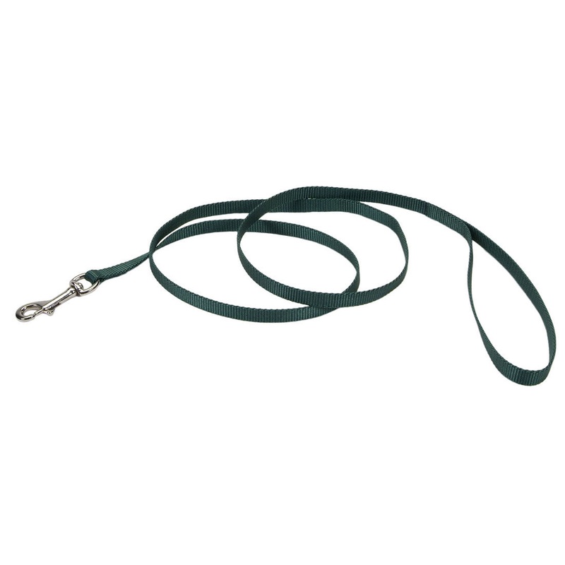Coastal Single-Ply Dog Leash – Hunter Green 3/8 in x 4 ft