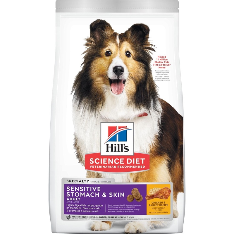 Hill’s Science Diet Adult Sensitive Stomach & Skin Dog Food