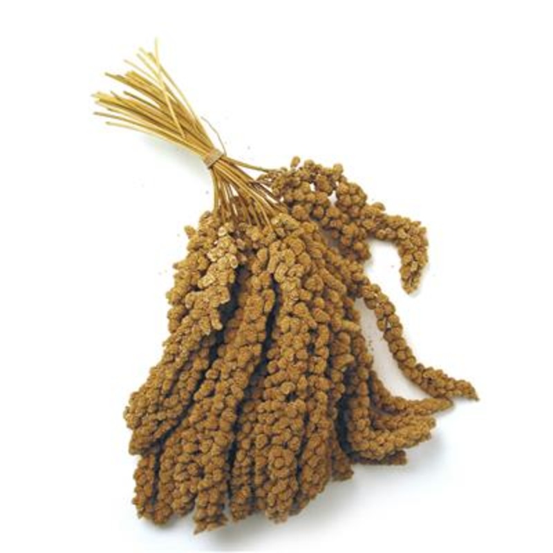 MASTERPET MILLET SPRAY 100G