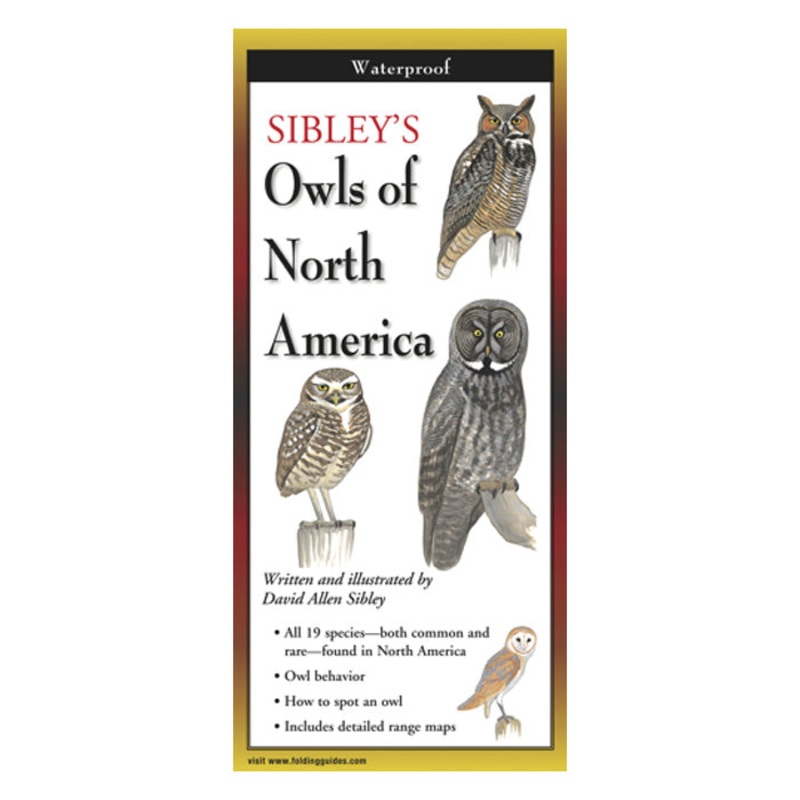 Sibley’s Owls of North America Folding Guide