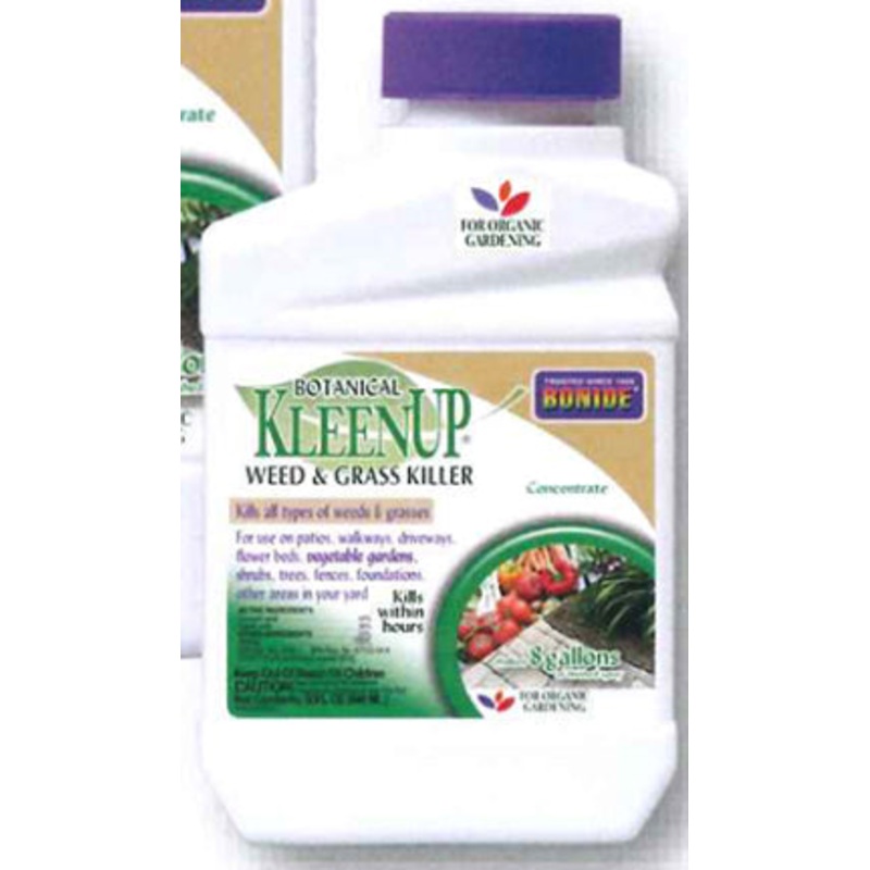 KLEENUP QT CONC BOTANICAL
