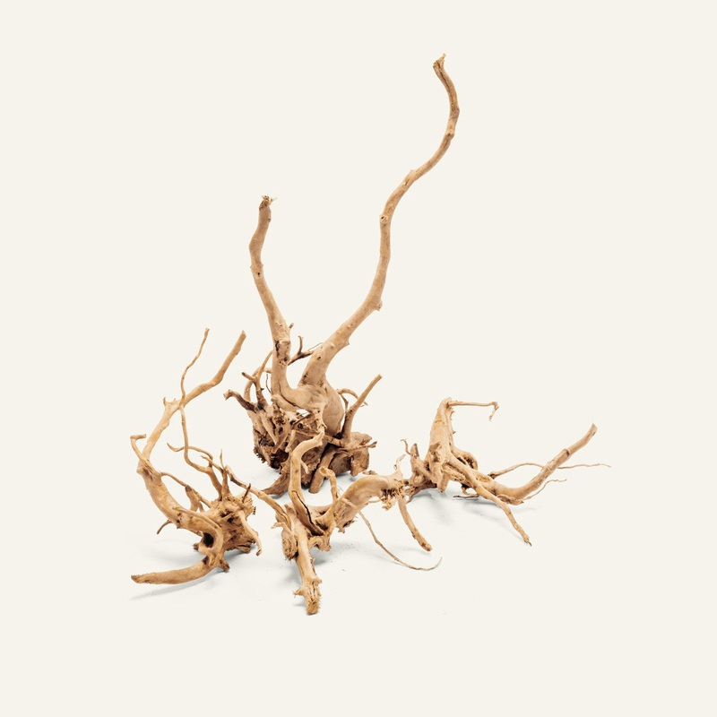 Spider Wood SMALL SINGLE