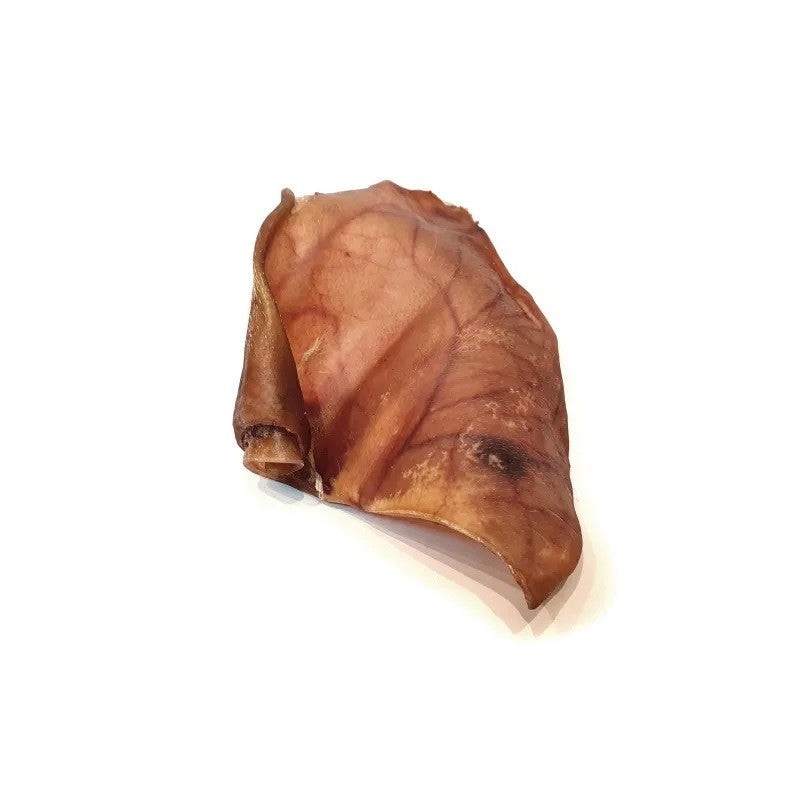 CANINE CARE PIGS EAR DRIED SINGLE