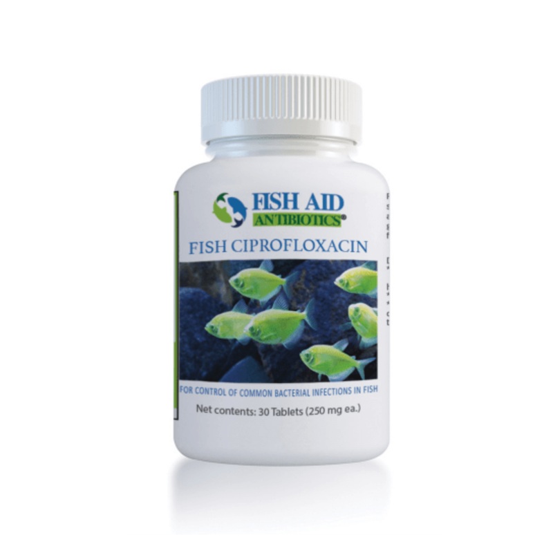 Fish Ciprofloxacin – Fish Aid Antibiotics 100 Count (250mg)