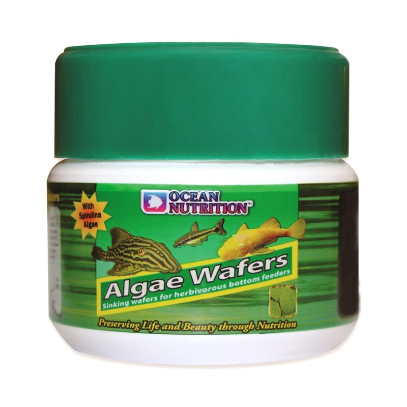 Ocean Nutrition Algae Wafers 75g Tub