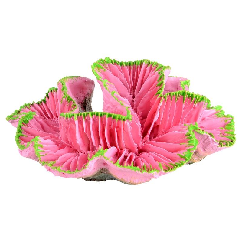 Ornament Coral Open Brain – Pink