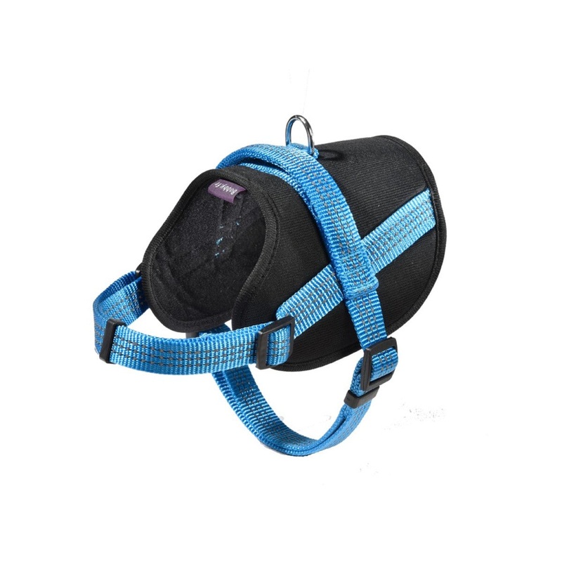 Easy Safe Harness – Blue / XXS
