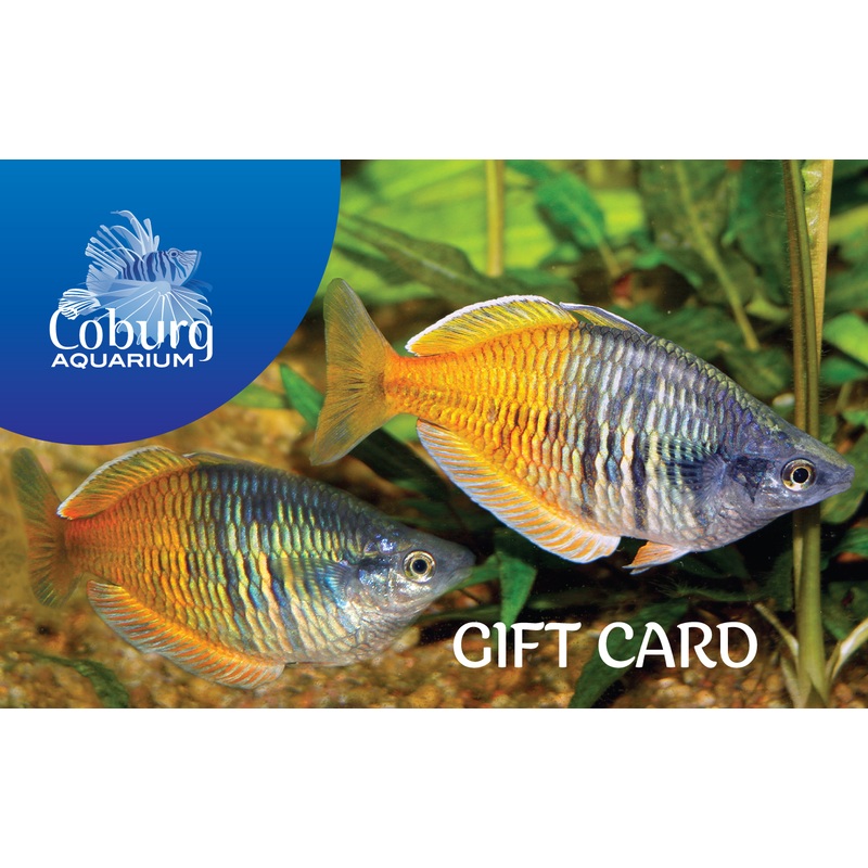 Gift Card $50