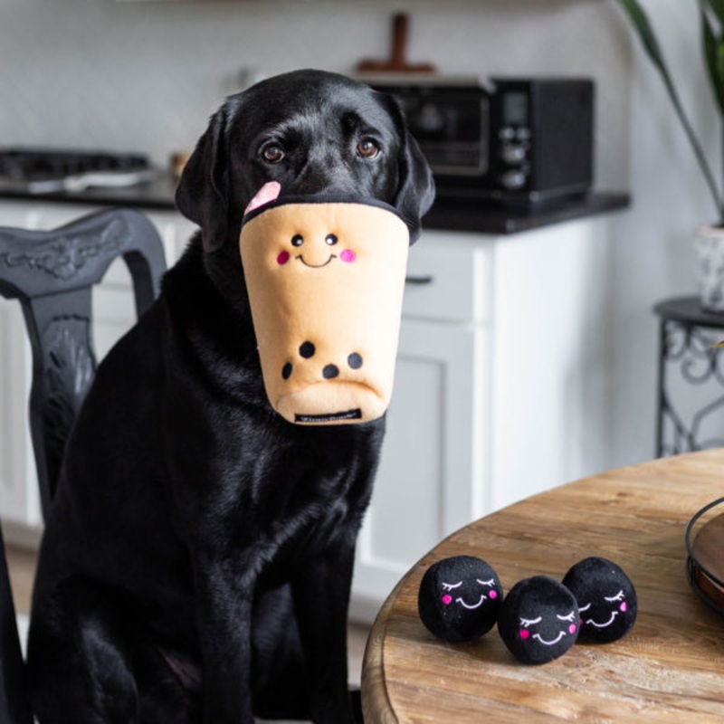Zippy Burrow – Boba Milk Tea