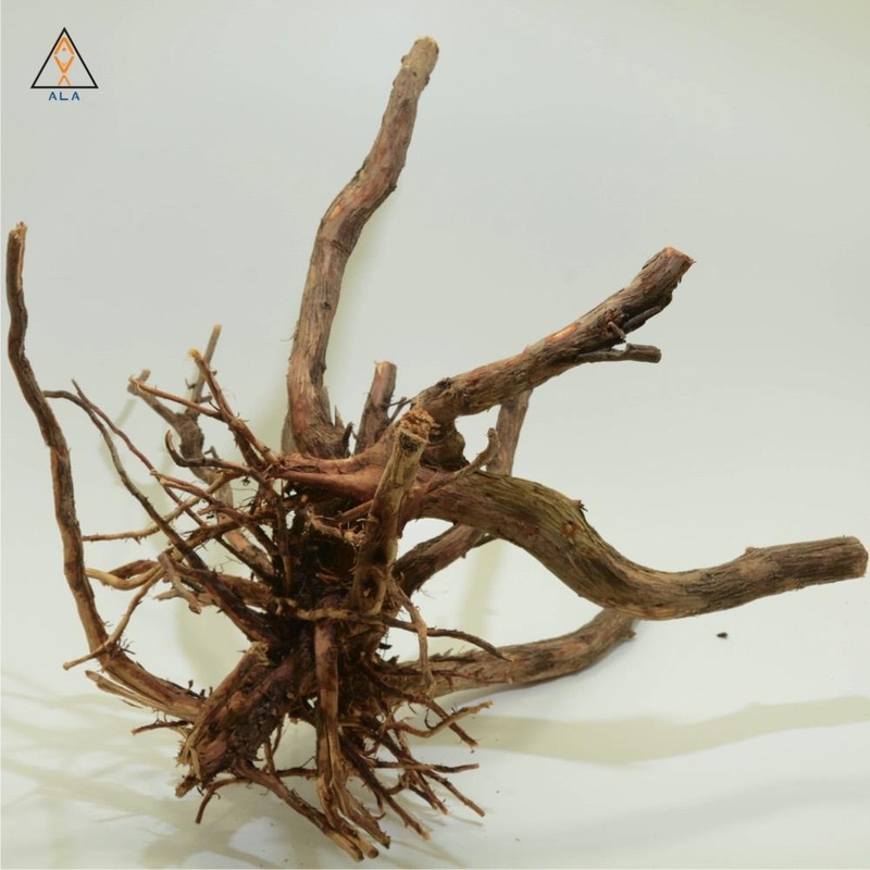 Alborz Wood – ALA Large (18″-24″)