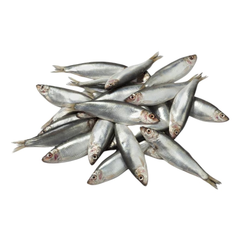 DAF – Sprats Frozen – 1kg