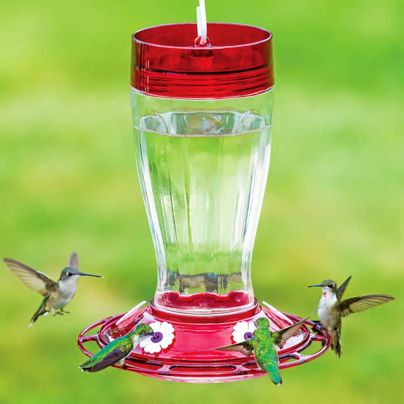 Big Gulp Hummingbird Feeder