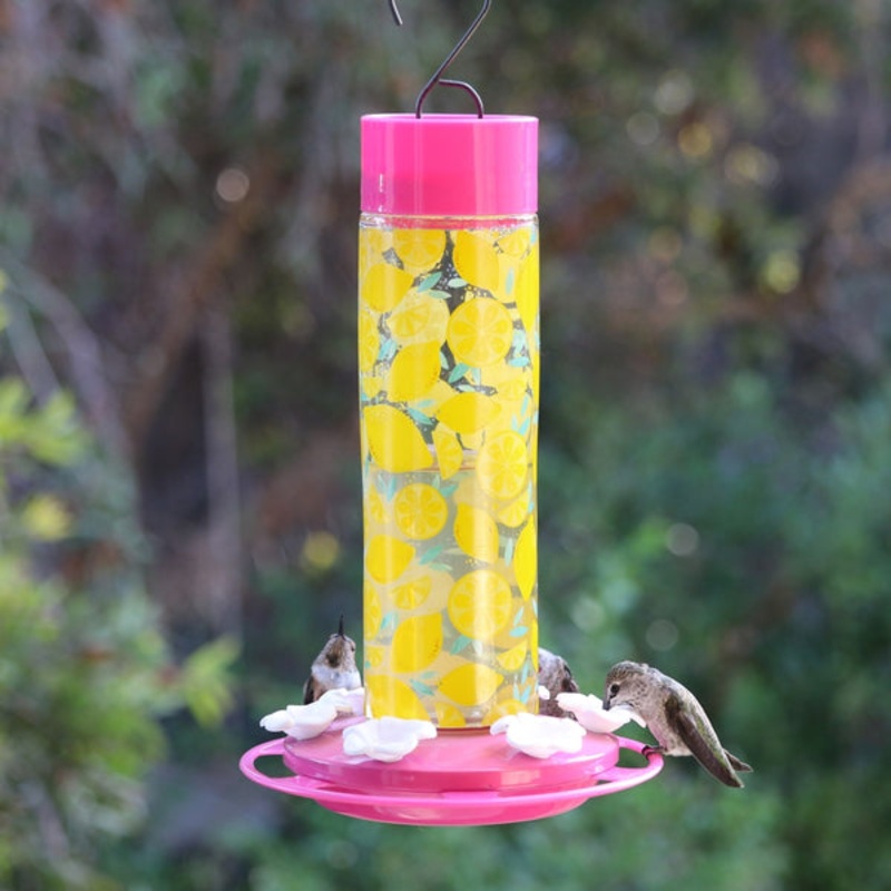 Nature’s Way Hummingbird Lemonade Stand Feeder