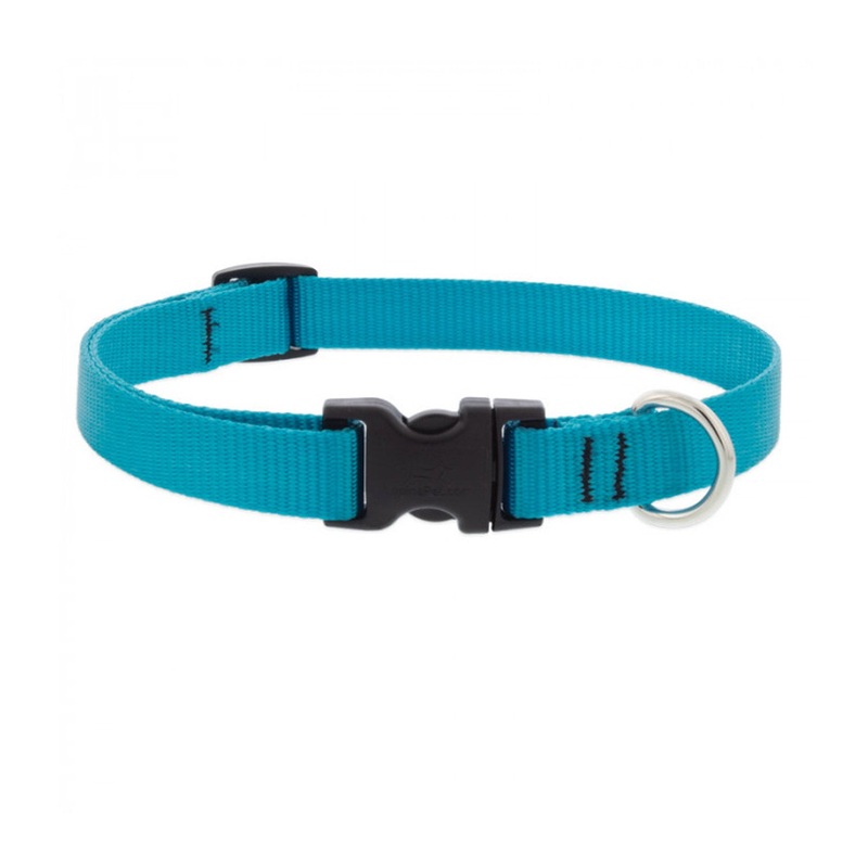BASICS Adjustable Collar AQUA 3/4 FOR MEDIUM DOGS – 13″-22″