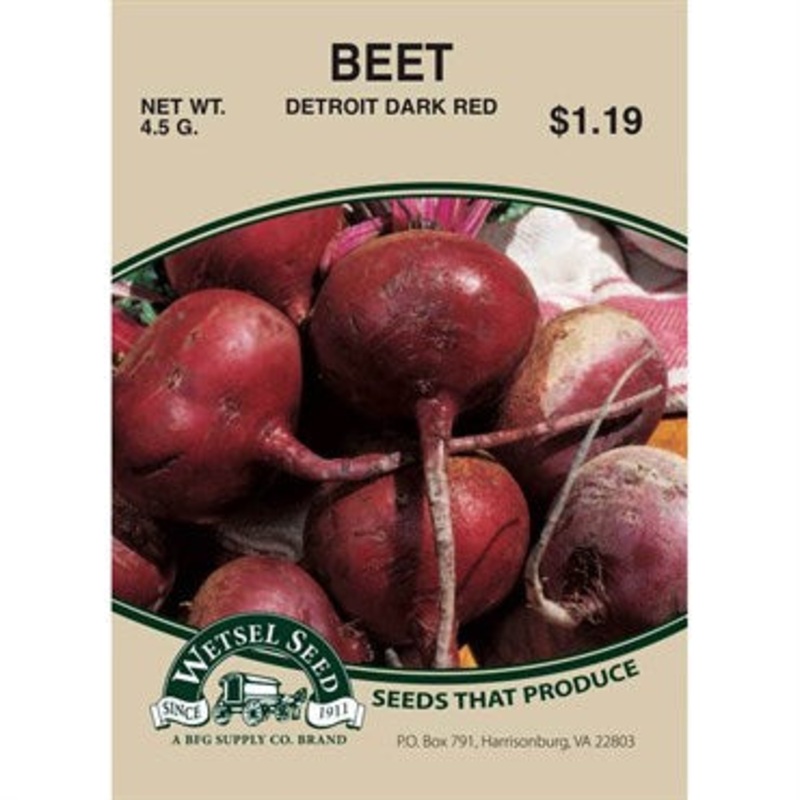 Wetsel Seed Beets – Detroit Dark Red