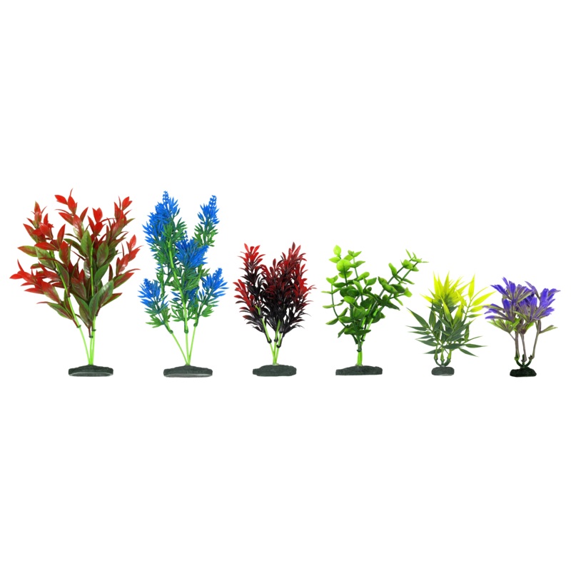 Aquamate – Natural Variety Plants (6pk) 6pk