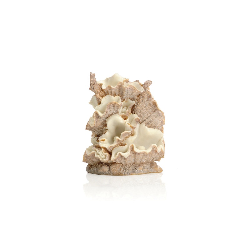 biOrb Clamshell Ornament Small