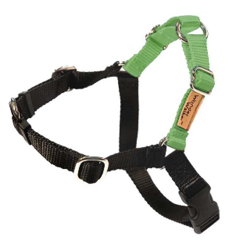Wonder Walker No-Pull Body Halter Dog Harness Light Green Small ( Chest Girth is 20-in – 28-in with 3/4-in Webbing )
