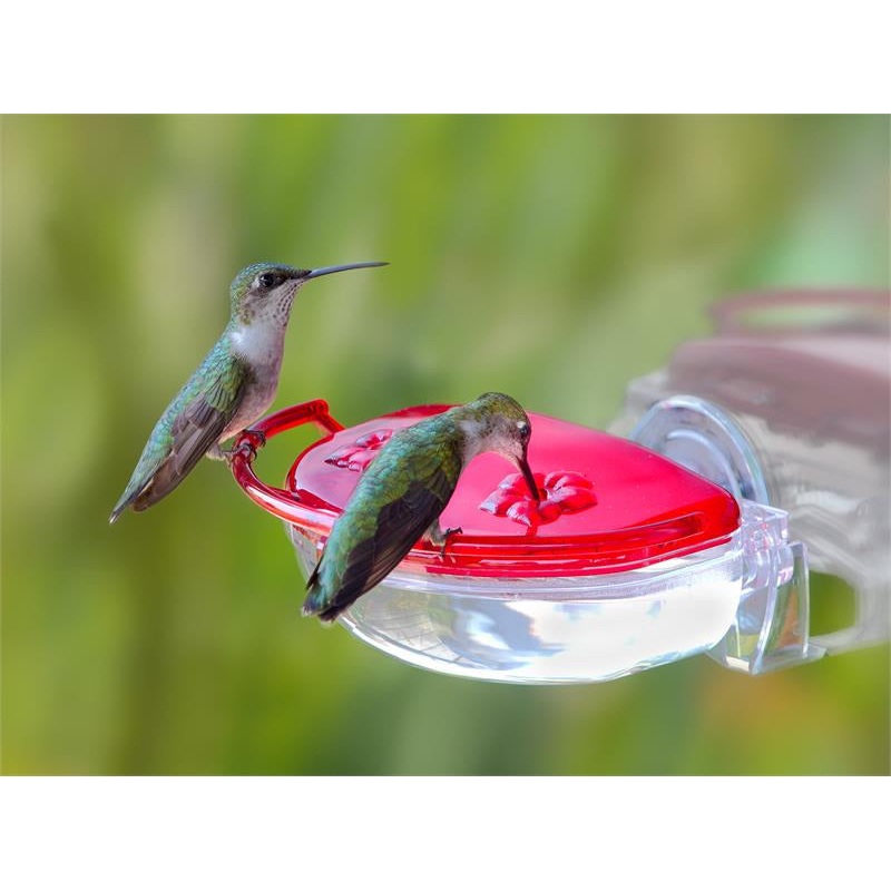 Aspects Gem Window Hummingbird Feeder