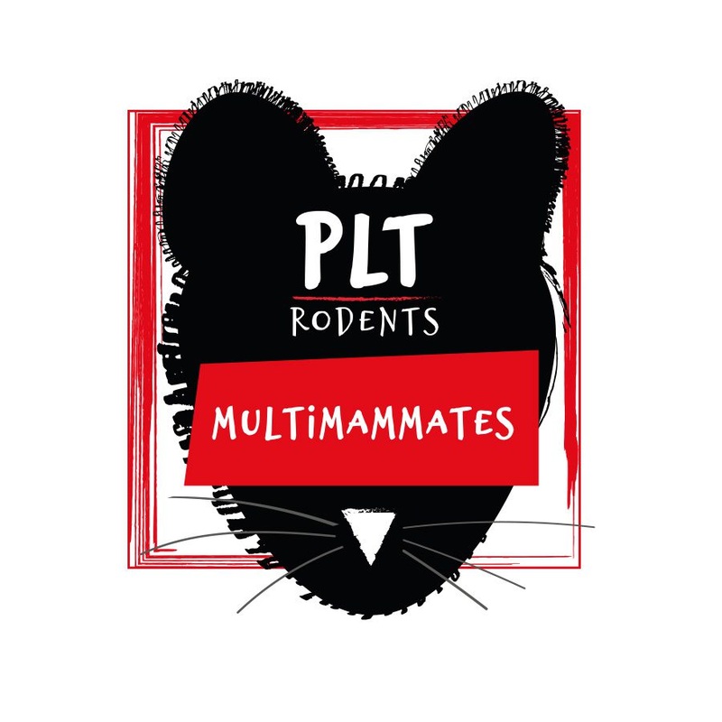 PLT Frozen Multi Mammate Mice Small (10g+) Pack of 10