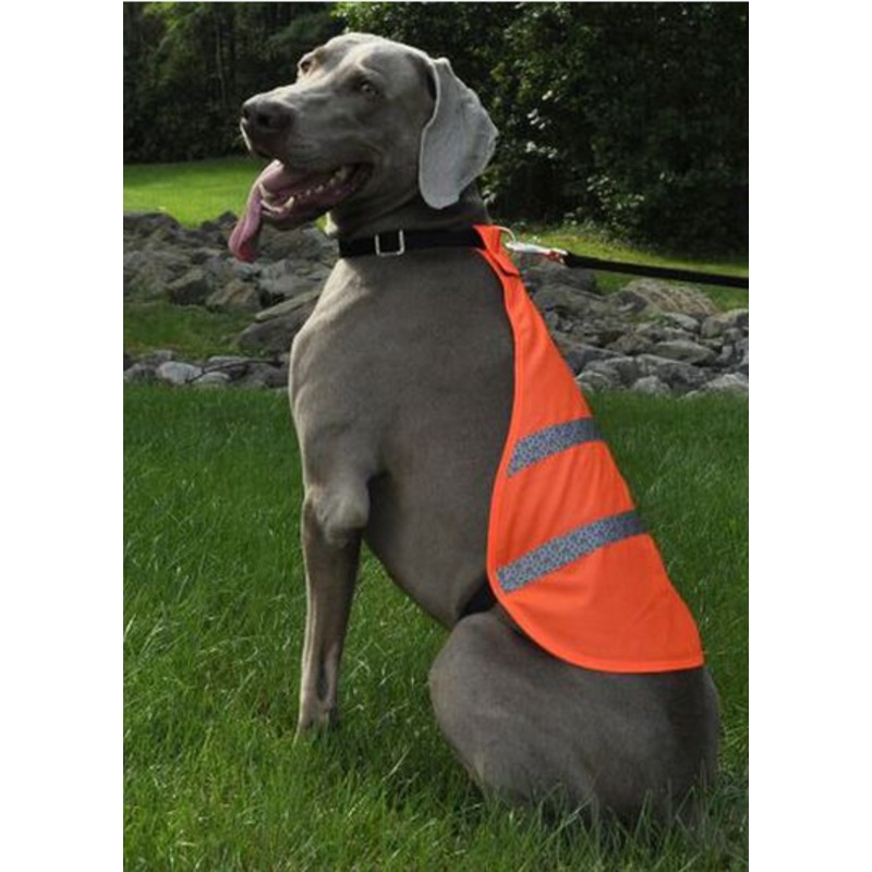 Reflective Safety Vest (Small) | Coastal Pet Products