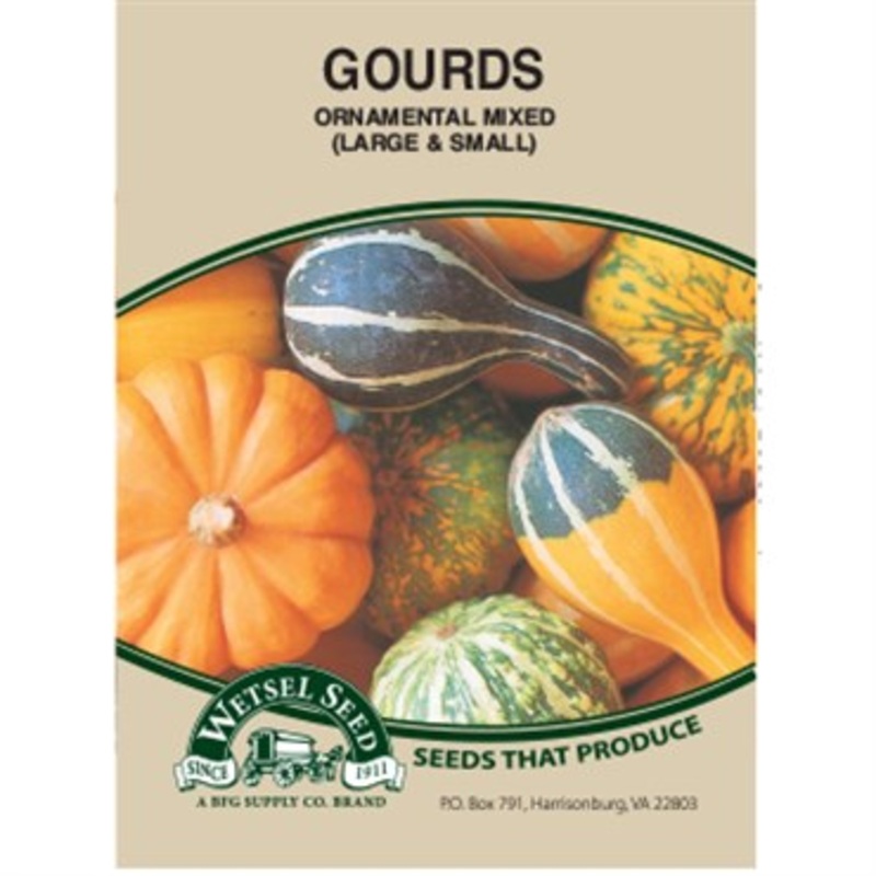 Wetsel Seed Ornamental Gourds – Large & Small Mixed