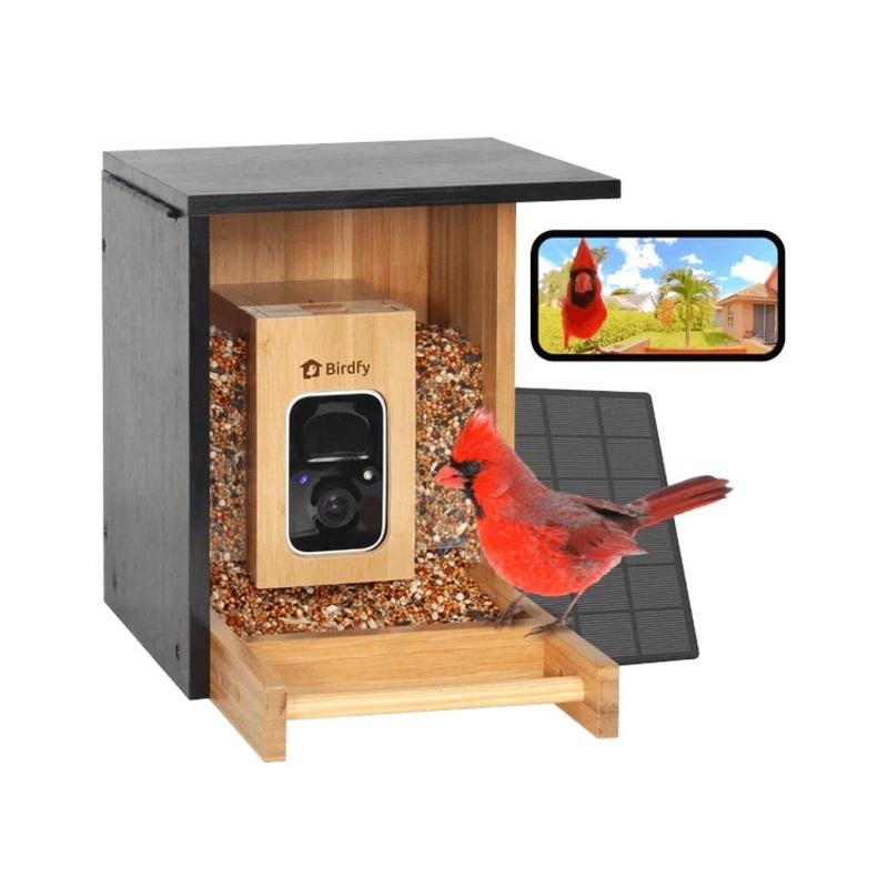 Birdfy Mini Bamboo Bird Feeder with Camera