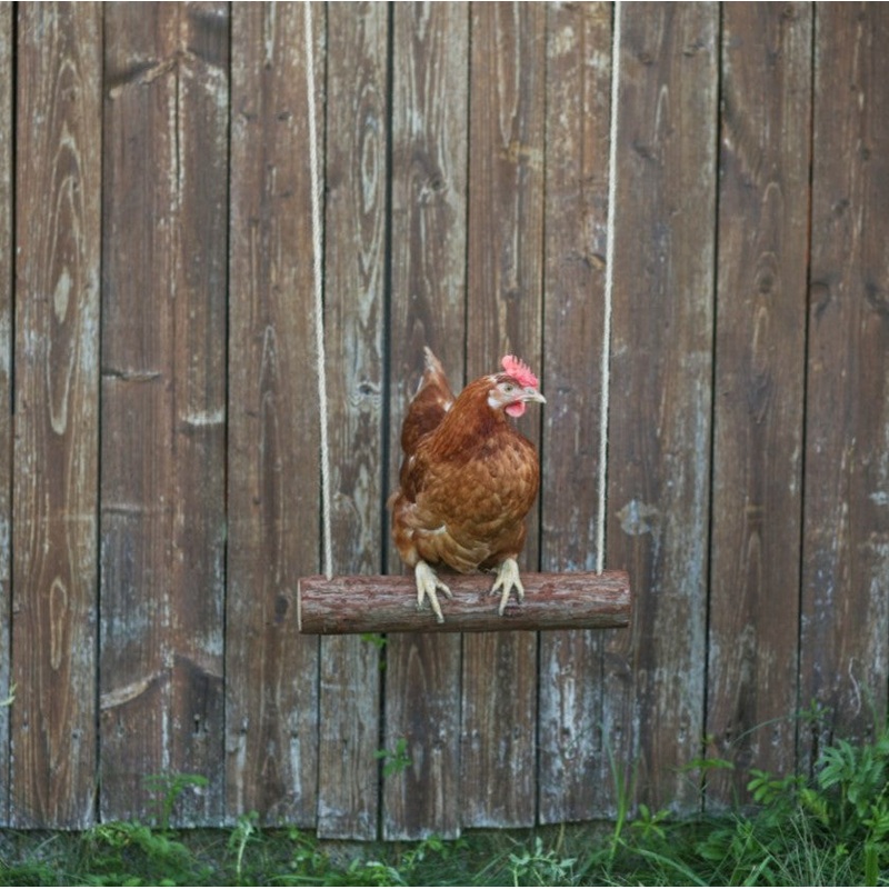 Kerbl Chicken Swing