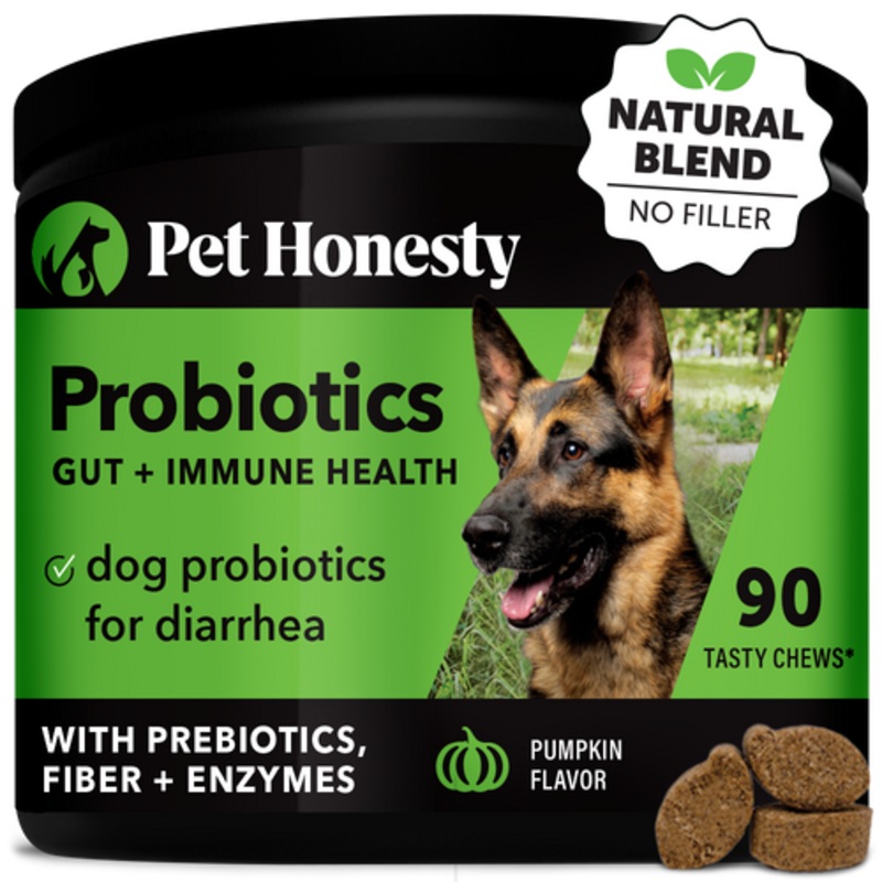 Pet Honesty Probiotics Gut + Immune Health Pumpkin Flavor for Dogs