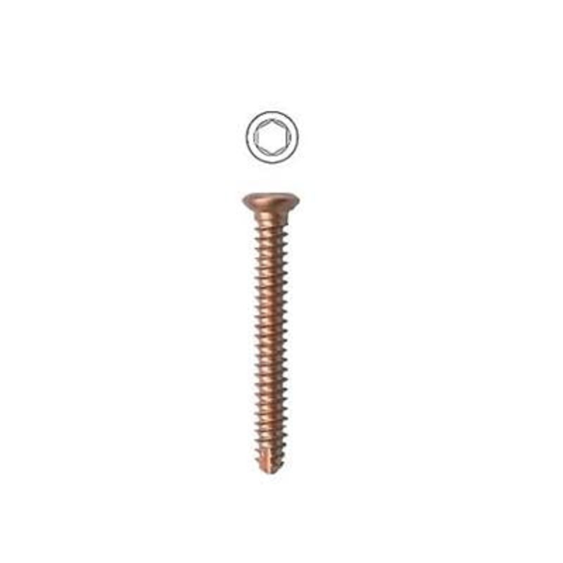 Rl Tta Self Tapping Screw 2.4 16mm Tt