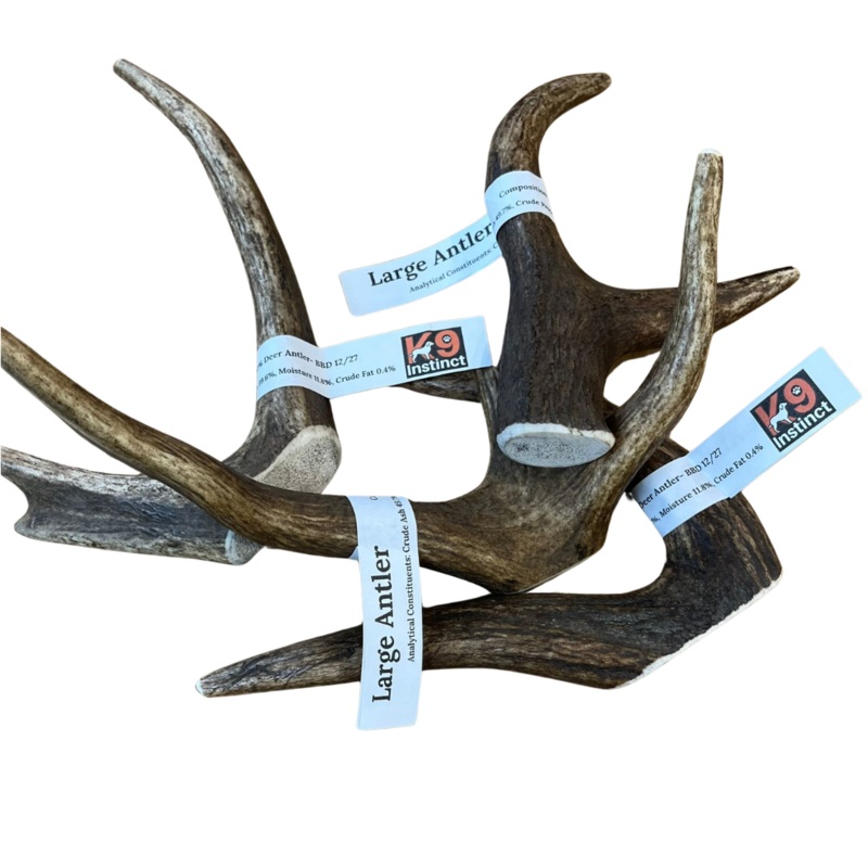Antler – Large