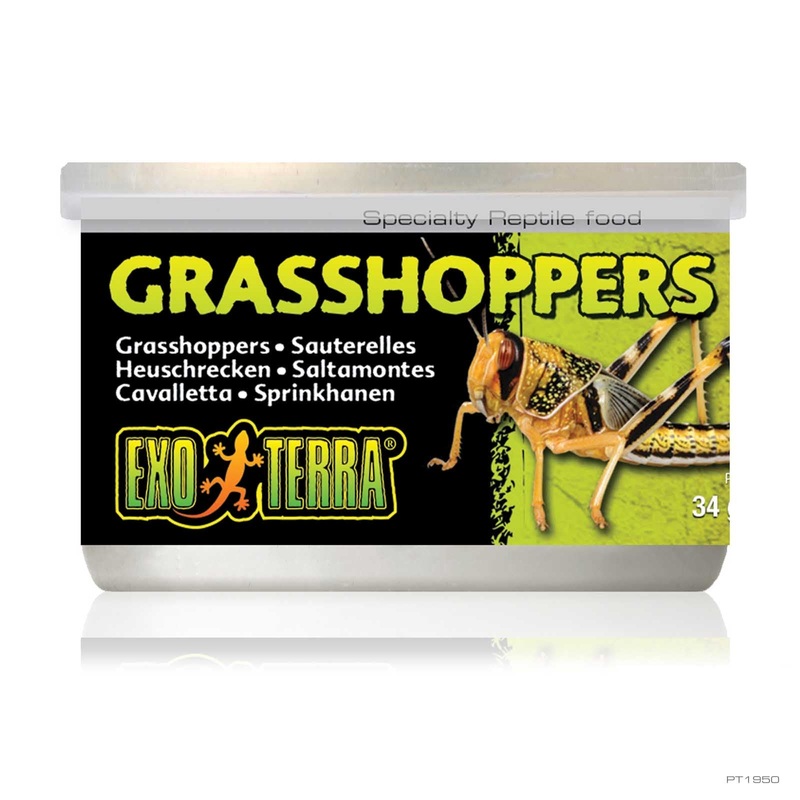 Exo Terra Canned Grasshoppers
