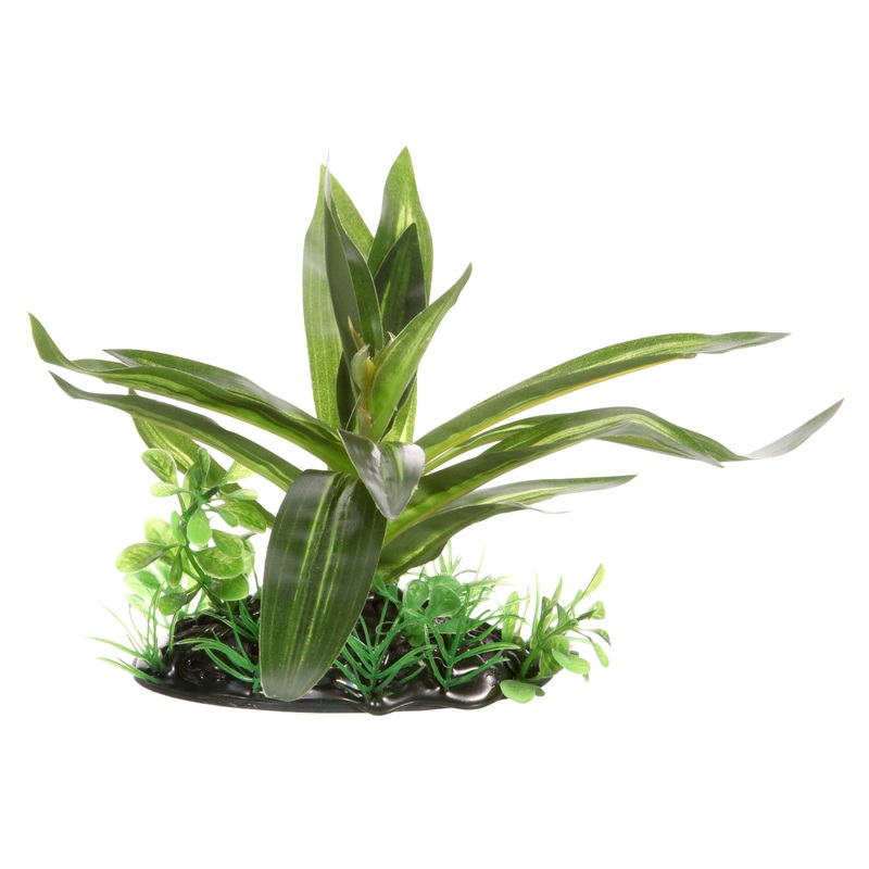 Fluval Giant Sagittaria Plant 4 Inch
