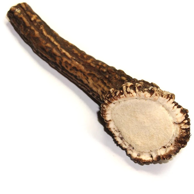 Tuesday’s Natural Dog Company Royal Brown Deer Whole Antler – Large