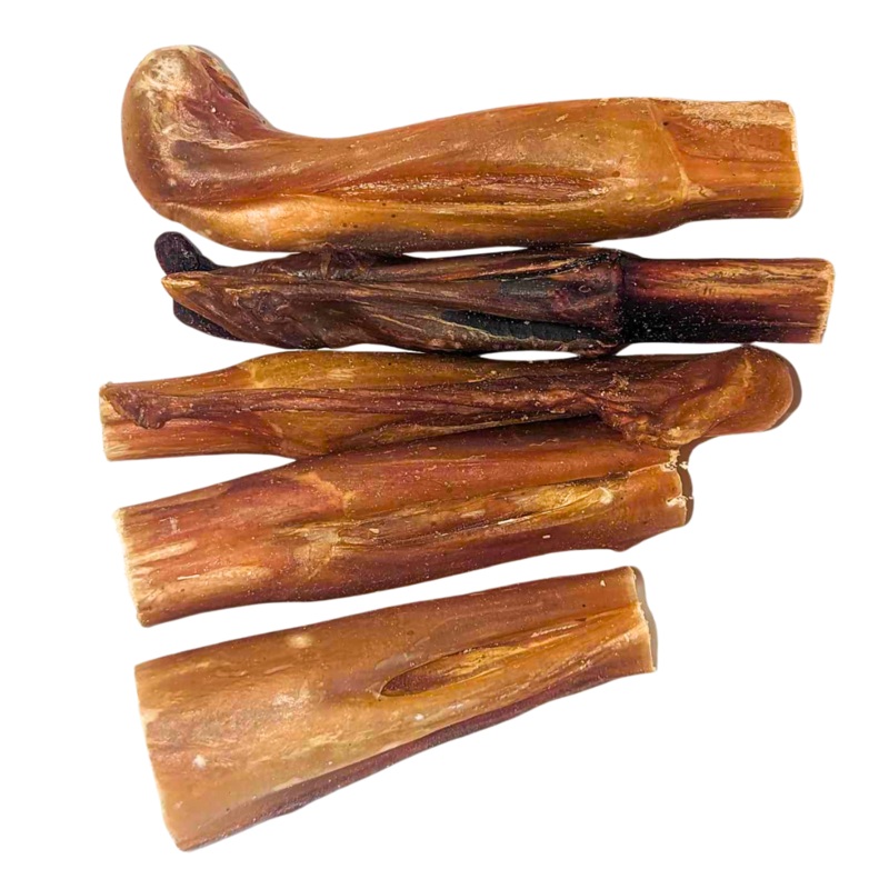 Bull Pizzle Pieces – Single