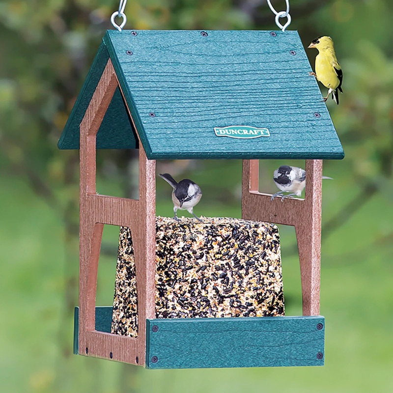 Duncraft Hanging Seed Block Feeder