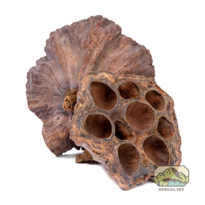 NewCal Lotus Pods 4″ 3pk