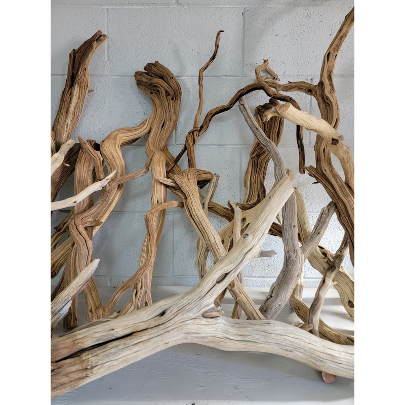 Manzanita (Ghost Wood) Small – Medium (Purple)