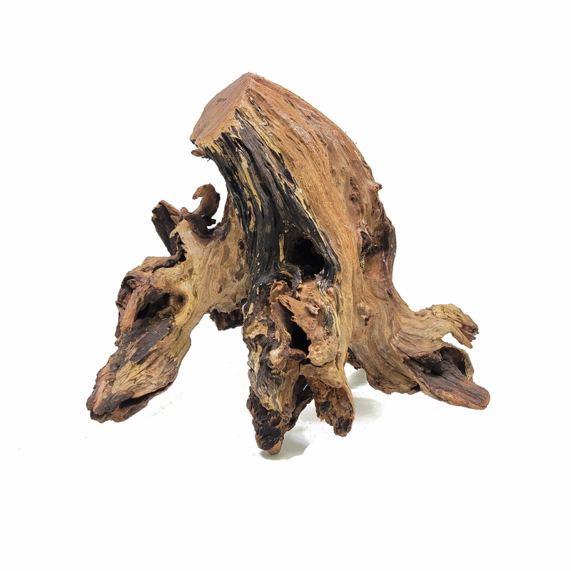 Aquascaping Malaysian Driftwood 12″ to 20″